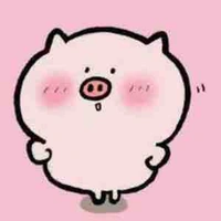 Lợn cute nhất thế giới