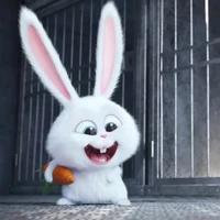 𝗩𝗮𝗹𝗻𝗰𝗲♡