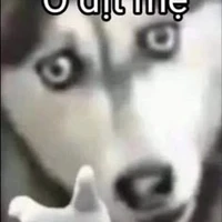 cô " bé" xàm l..