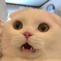 Lớp