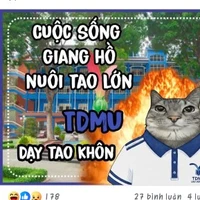 Tác giả đây