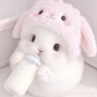 hệ thống 002 (kit)