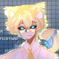 ĥiha Anti catnap
