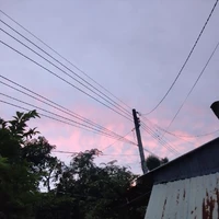 all nhân vật