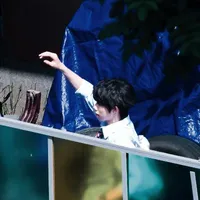 Trần Dịch Hằng