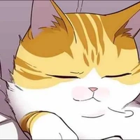 hệ thống 97/đom đóm