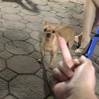 Nhân vật phụ