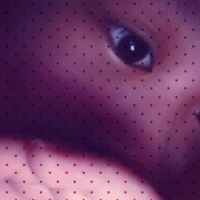 Bố m là tác giả