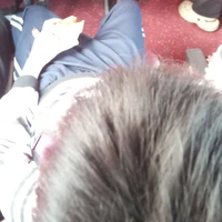 t là hệ thống chủ