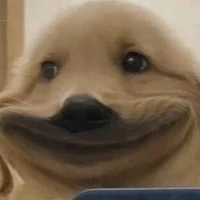 NAM
