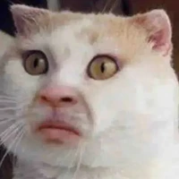 hệ thống qq
