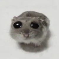 t/g