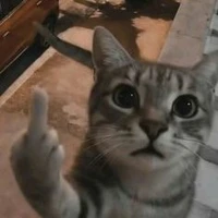 cả lớp trừ ai thì trừ