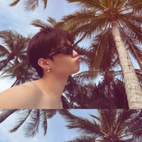 Đặng Thành An| chip bông