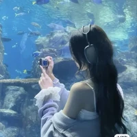 Tô Nguyệt Nhi