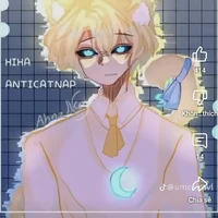 hiha anti catnap(top)