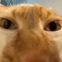 Ꭶꝁ𝞢ȽȽҰ {hài cốt}ヅ 