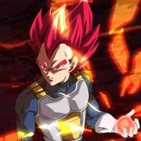 Vegeta (SSJ god)