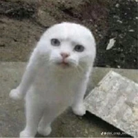 @mason_ng.n