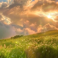 All(trừ ai thì trừ)