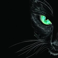 Chita