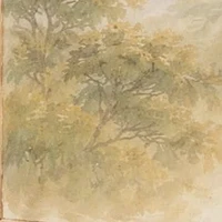 Allyuan_t/g lười