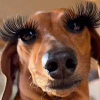 Trợ lý đẹp trai số 1 công ty 🐍🎀