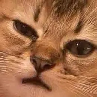 quý độc giả
