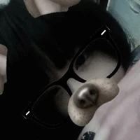 TTDD(t/g)