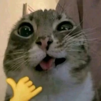 Bơ