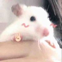 hủ sì lam của ai đó