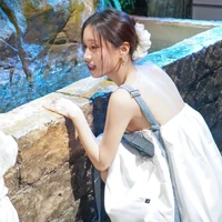 Han Sara