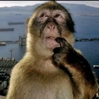 cân tất nhân vật