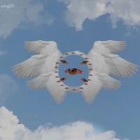 the true form of an angel 