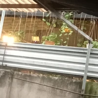 Đa Nhân Vật