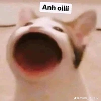 t/g hiphop thua duck di