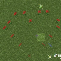 những ng có ảnh