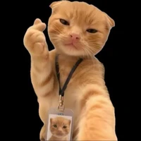 t/g hướng tùm lum!