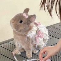 Tác giả - Linh khanh