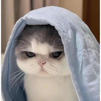 Đa NPC