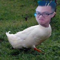 Mít tơ Vịt