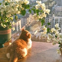 vợ yeu Chân Bảo