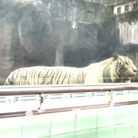 100 nhân vật lớn nhỏ