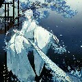 đệ tử nội môn - Lam Bình
