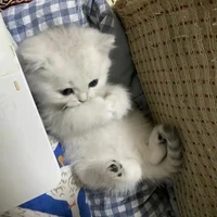 @ua_anhtotma?