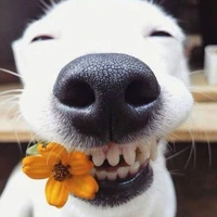 @TH_truemilk