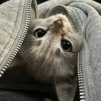 @trgcutes1tgioi