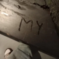 T/g nèk