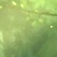 Nhóm xuyên không (trừ những ai cần trừ)