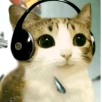 hệ thống  meozmeoz